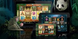 Online Slot Website